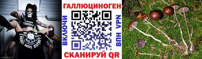 Псилоцибиновые грибы Magic Shrooms  Боровичи 